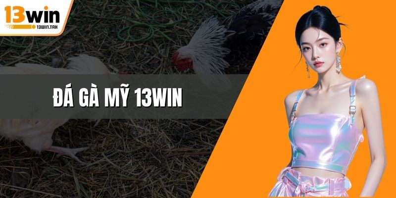 Đá gà Mỹ 13win
