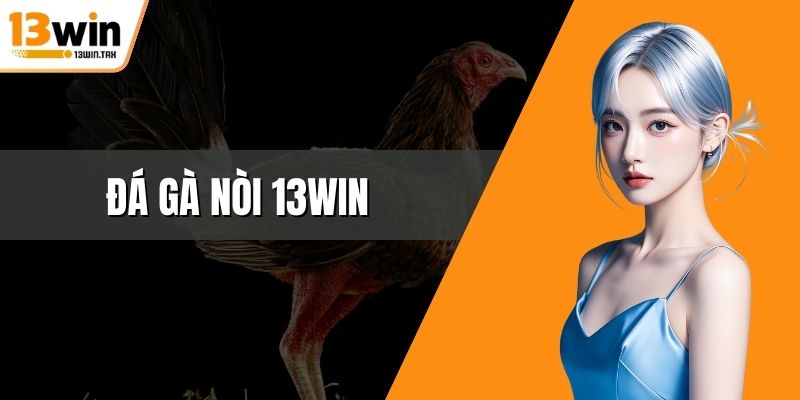 Đá gà nòi 13win
