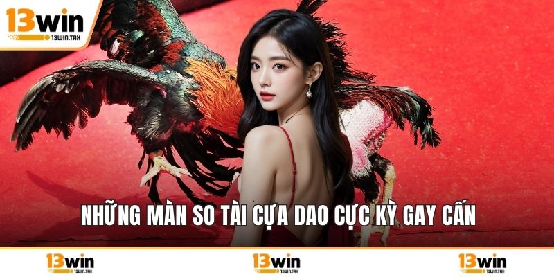 Những màn so tài cựa dao cực kỳ gay cấn