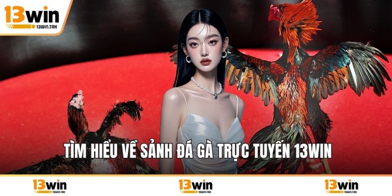 Tìm hiểu về sảnh đá gà trực tuyến 13win